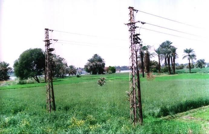 إحلال وتجديد شبكات الجهد المنخفض بمدن كفر الشيخ بتكلفة 3ملايبن جنيه